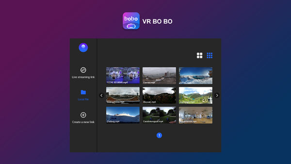 TECHE VRBOBO License for SRT Streaming with Pico VR Headset