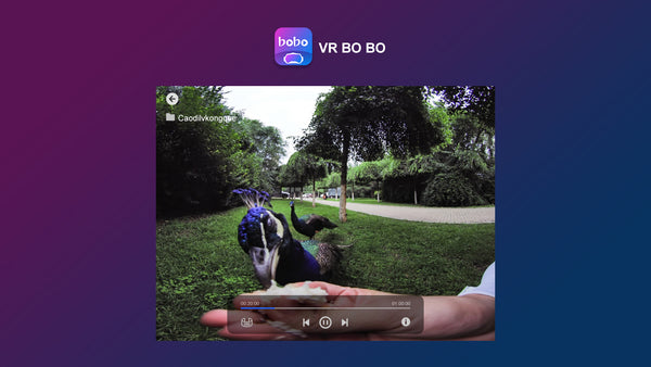 TECHE VRBOBO License for SRT Streaming with Pico VR Headset