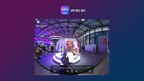 TECHE VRBOBO License for SRT Streaming with Pico VR Headset